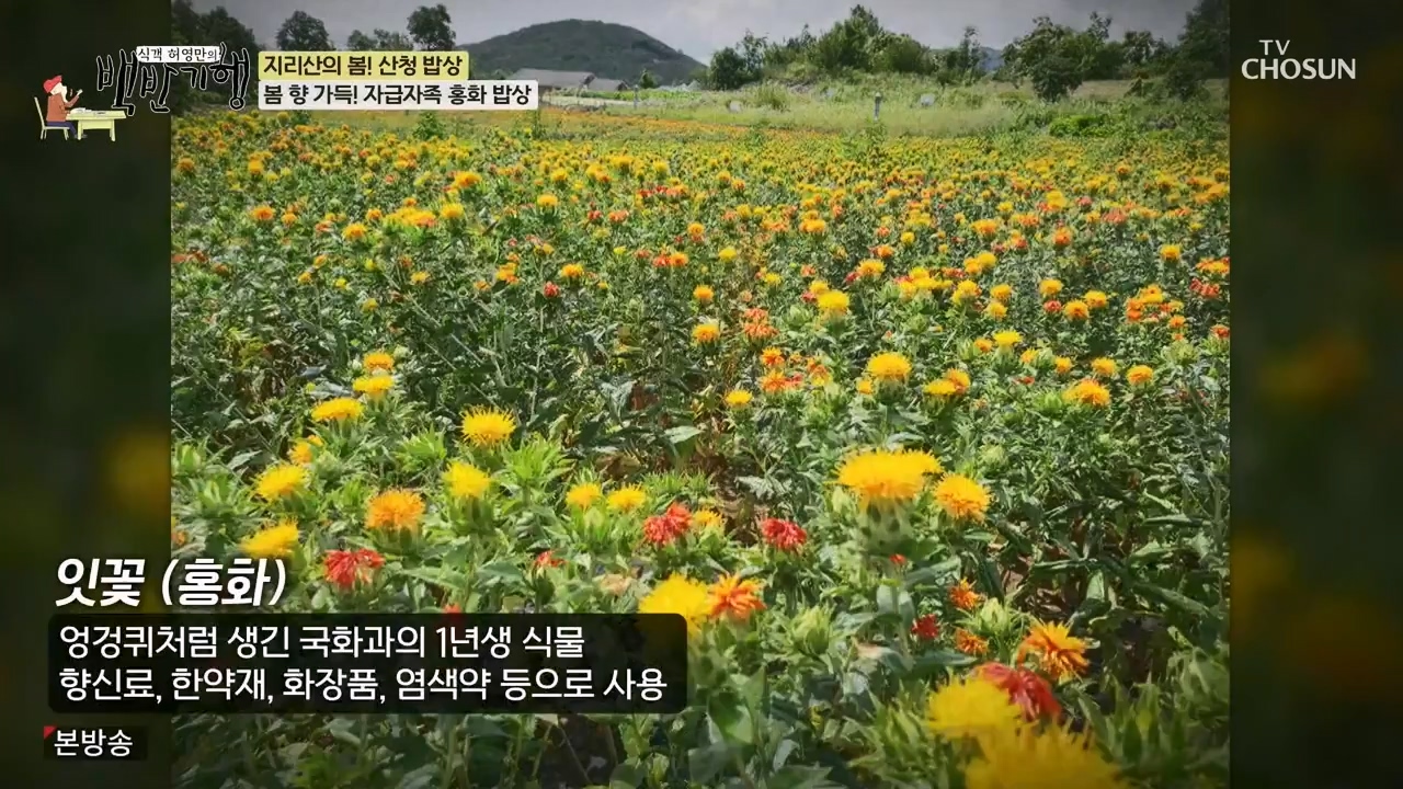 식객 허영만의 백반기행.E241.240332p-NEXT.mp4_20240401_195036.348.jpg