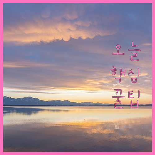 서점 운영, 정부 지원 정책 완벽 가