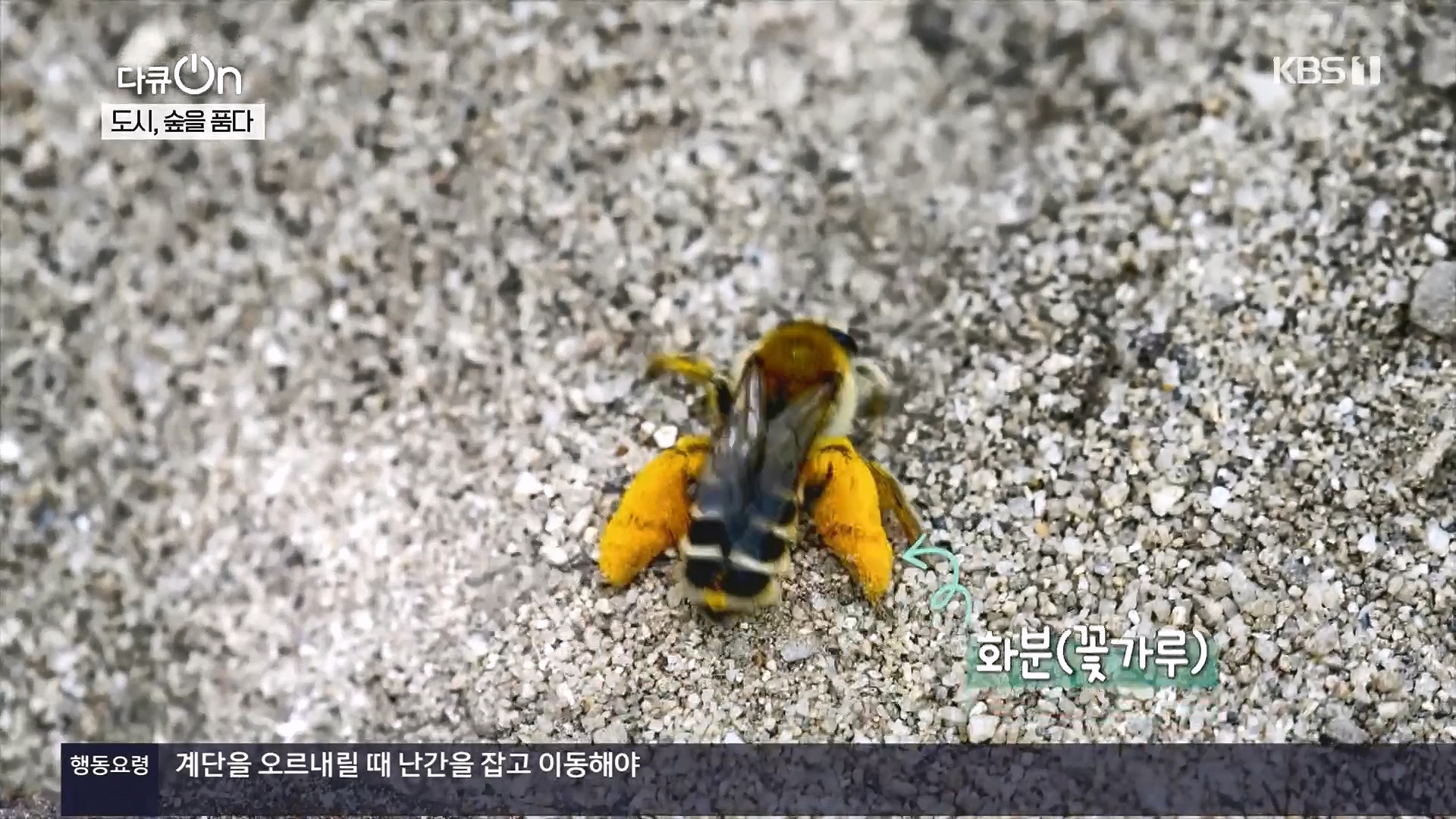 다큐 On.E232.231216p.H264-F1RST.mp4_20231220_204557.048.jpg