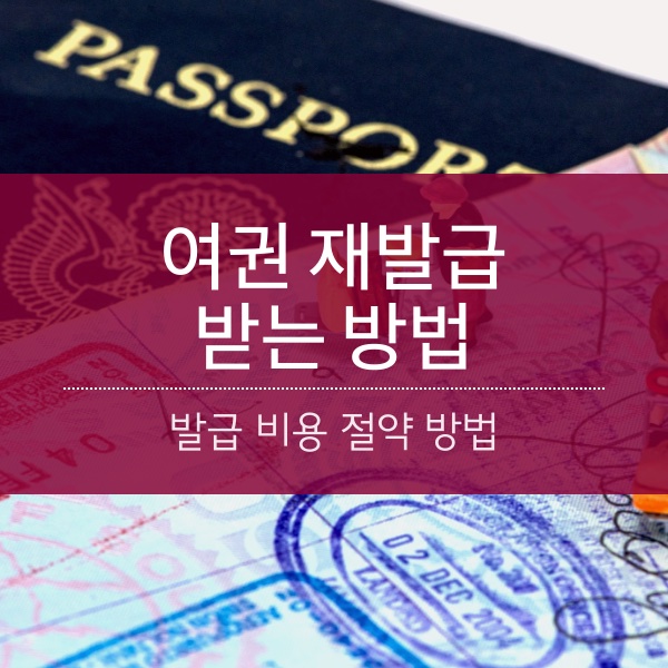 [해외 여행] 여권 재발급 하는 방법 및 발급 비용 절약 팁