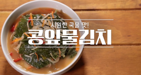  알토란 콩잎물김치 레시피 365일 매일매일 보양 반찬