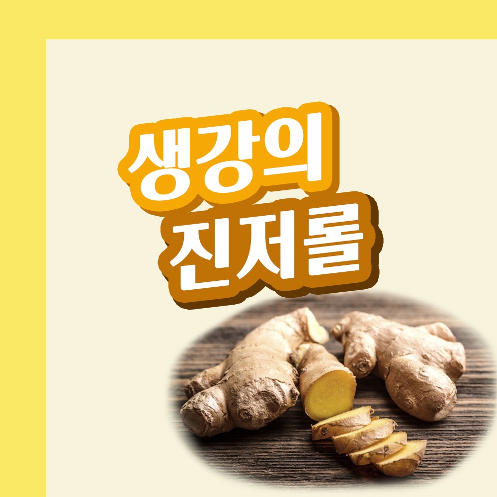  항암 효과 진저롤! 항산화 효과 진저롤! 생강 진저롤의 효능은? With 진저롤의 부작용?