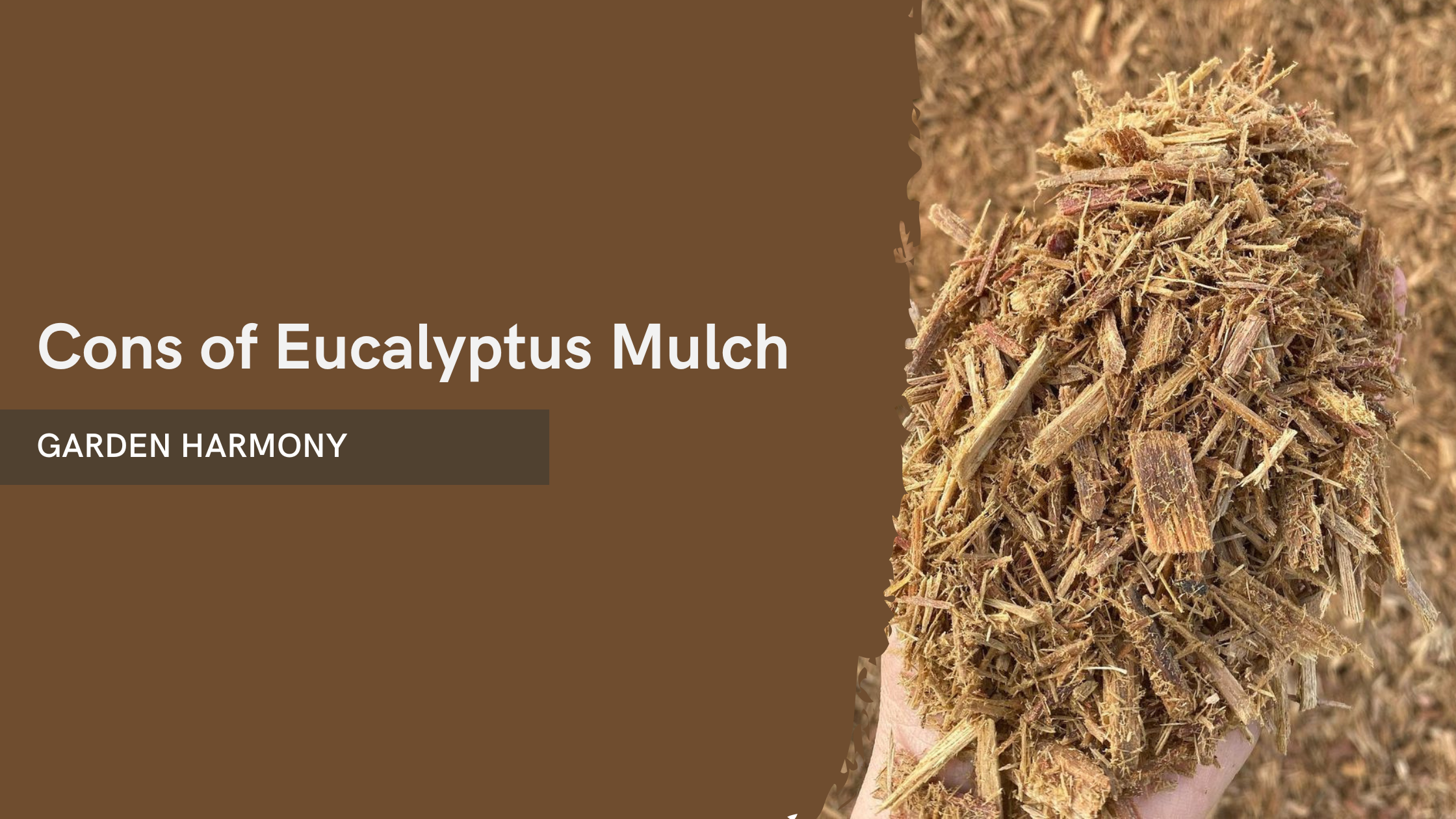 Cons of Eucalyptus Mulch
