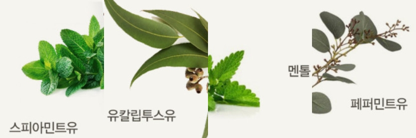 비머스 이미지
