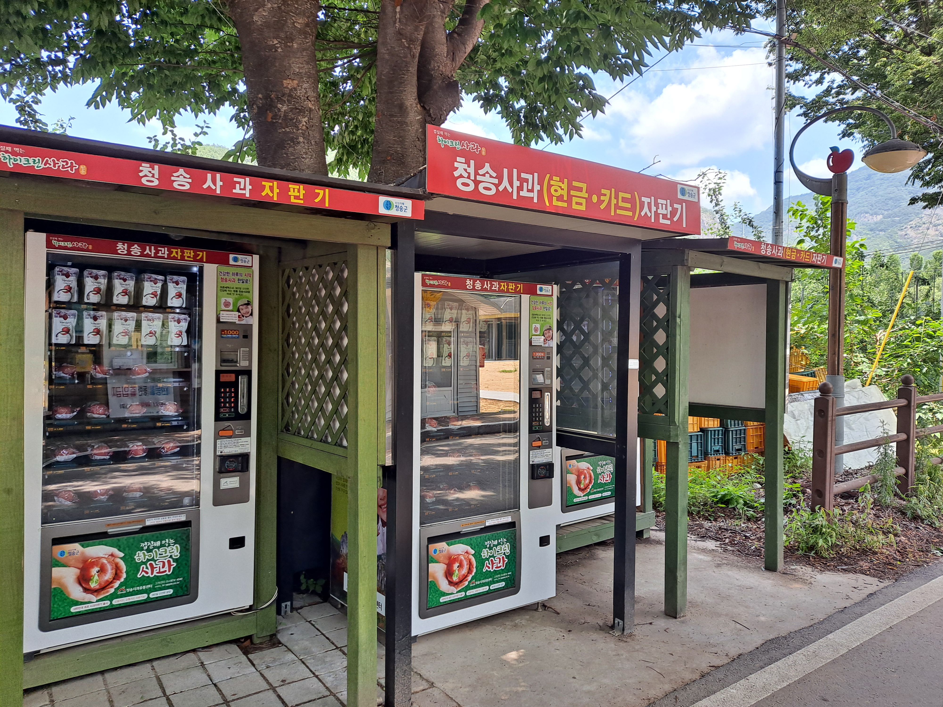  국내 최초 청송 사과 자판기
