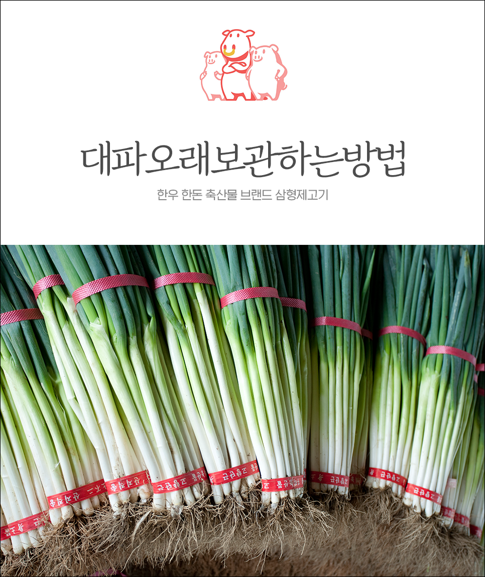  대파오래보관, 냉동 보관이 필요 없는 소주 활용 방