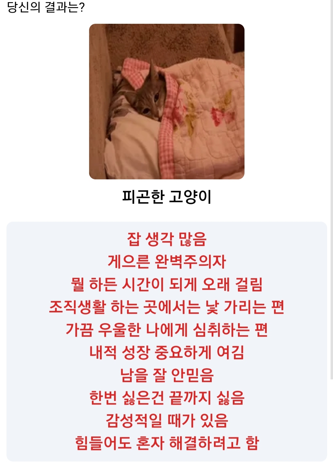  난 울보고양이! 너는? 동물짤 성격테스트 mbti 결과/결과 동물 궁합/링크