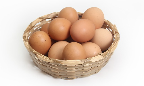 피로회복에 좋은 음식 계란