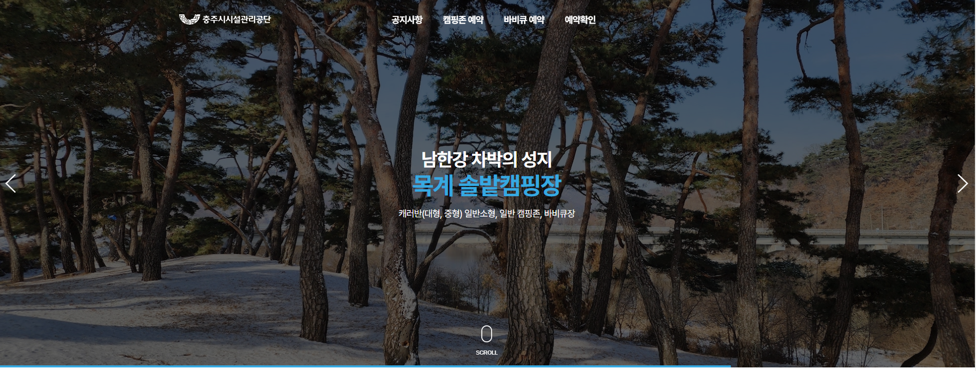 충주 목계솔밭 캠핑장