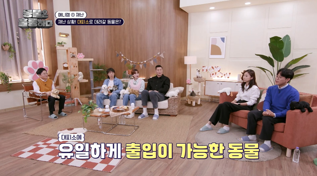 반려인들은 알아두면 좋을 만한 정보들...jpg | 인스티즈