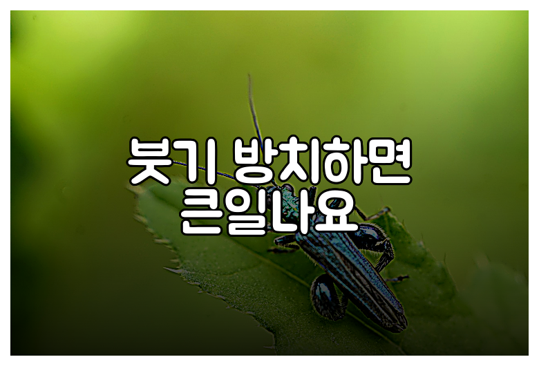 붓기 방치하면 큰일나요