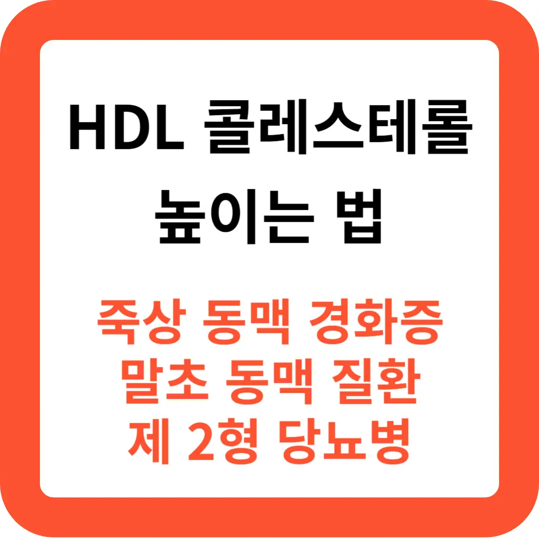 HDL-콜레스테롤-수치-높이는-방법-추천