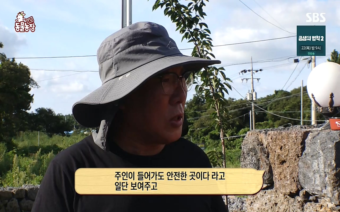 TV 동물농장.E1087.220919p-NEXT.mp4_20220918_180223.240.jpg