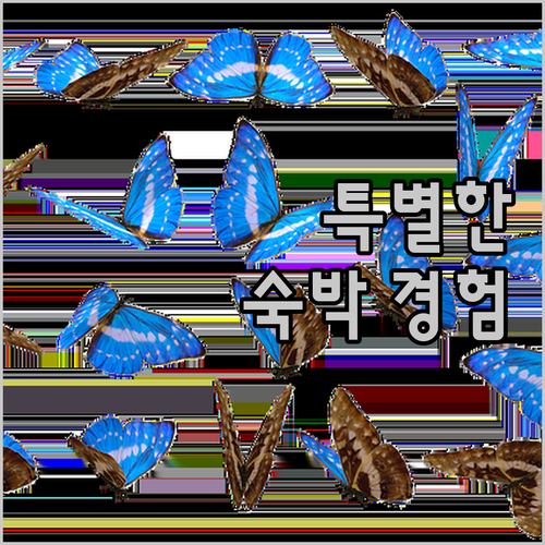 트레블로지 님만에서의 특별한 숙박 경