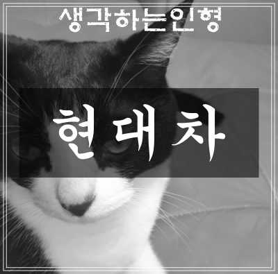  현대차 주가 전망 및 차트관점에서 분석