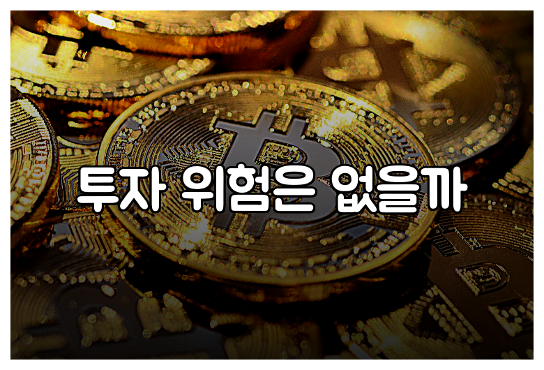투자 위험은 없을까