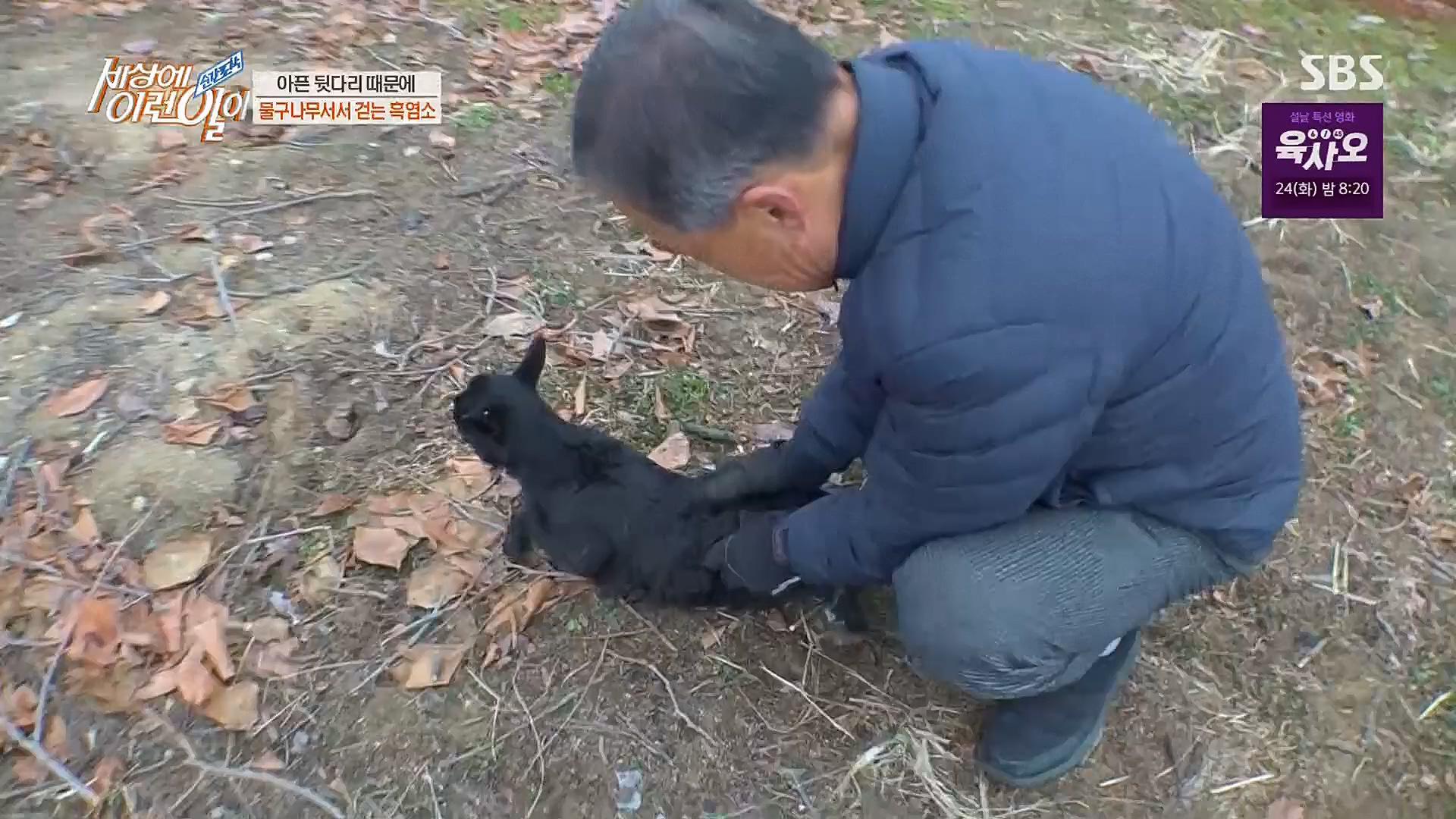 순간포착 세상에 이런일이.E1214.230117p.H264-F1RST.mp4_20230118_192432.719.jpg