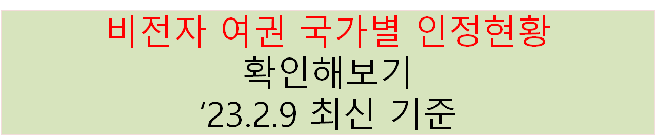 긴급여권 발급 받기 전에 반드시 다른 국가의 허용여부를 확인 해봐야한다