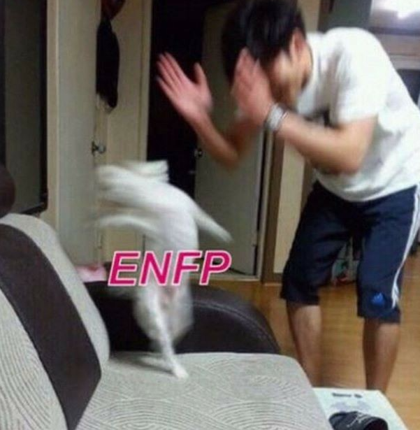ENFP 유형 특징 연애궁합 총정리(+장점 단점 직업 추천 궁합 팩폭 매력 MBTI유형)