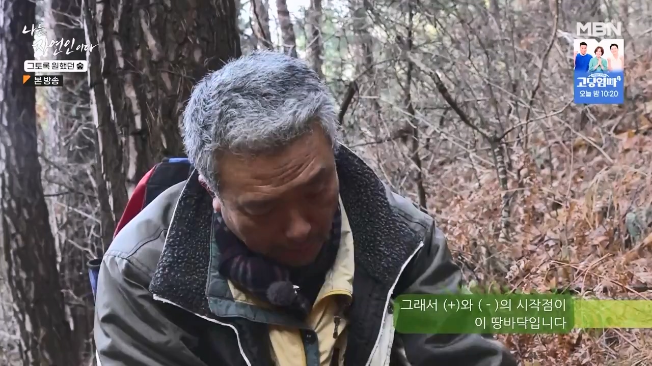 나는 자연인이다.E591.240132p-NEXT.mp4_20240201_195738.347.jpg