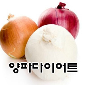  다이어트 - 양파 다이어트