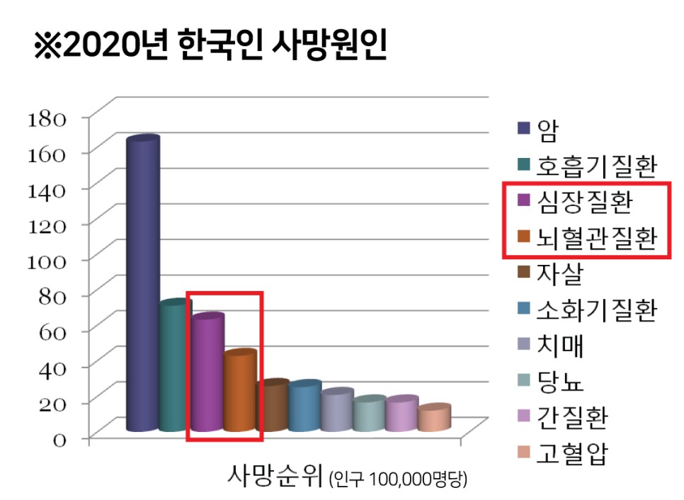 심뇌혈관 질환, 예방법은? 겨울철 주의해야 할 4