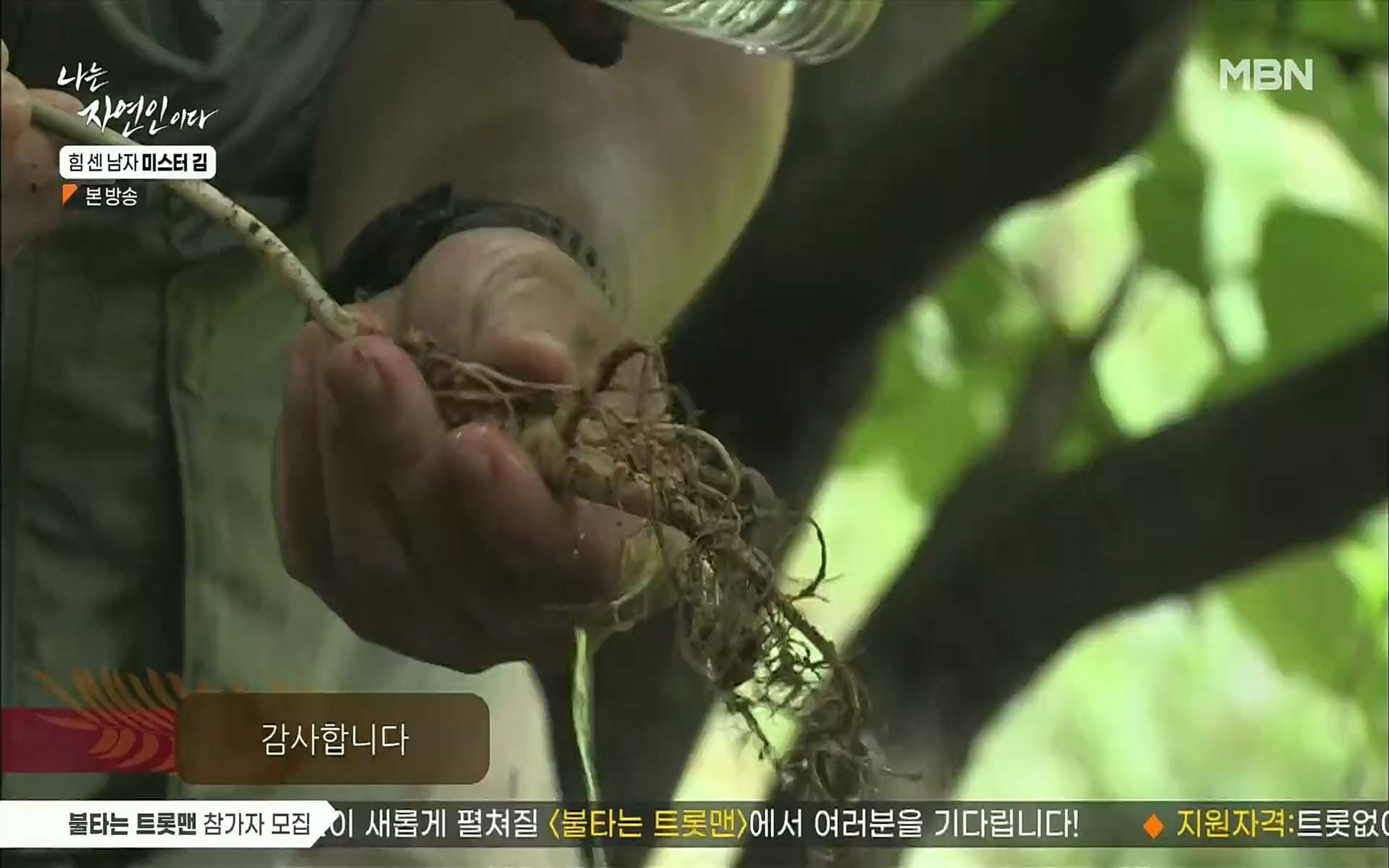 나는 자연인이다.E510.220713p.H264-F1RST.mp4_20220714_180656.873.jpg