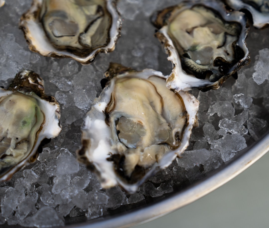 'Oyster'