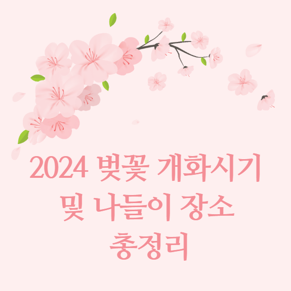 2024 벚꽃 개화시기