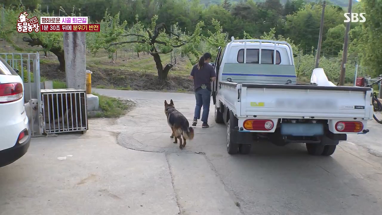 TV 동물농장.E1176.240617p-NEXT.mp4_20240616_171020.309.jpg