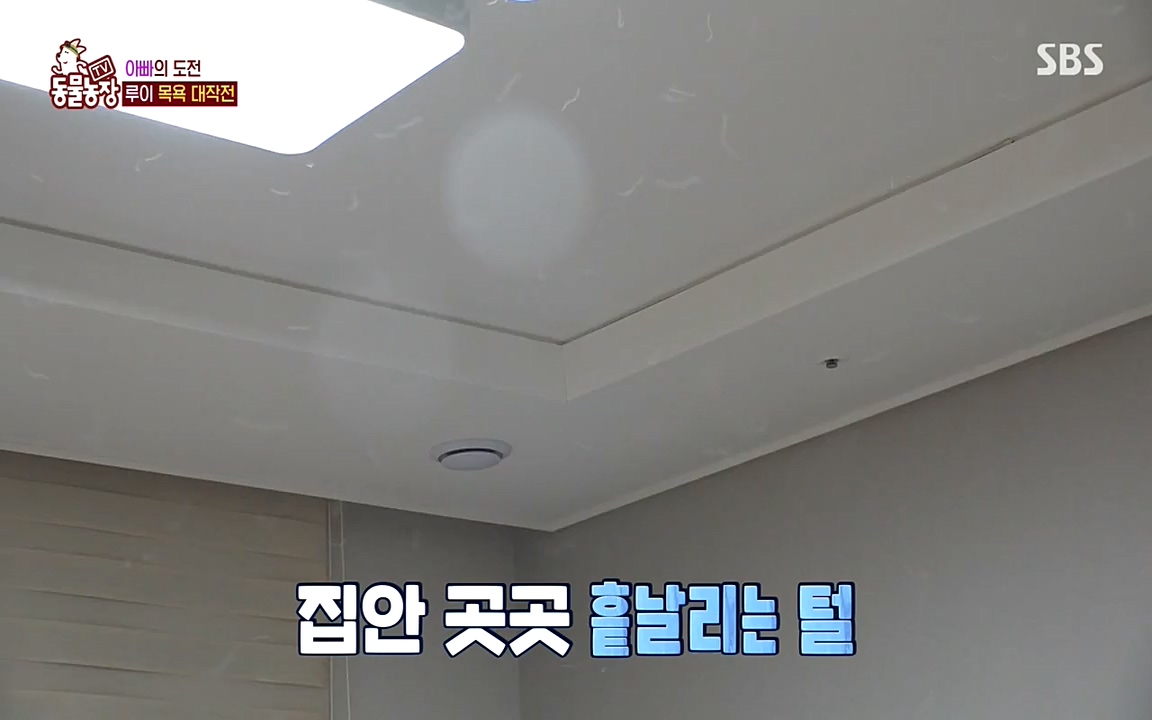 TV 동물농장.E1068.220509p-NEXT.mp4_20220508_173811.871.jpg