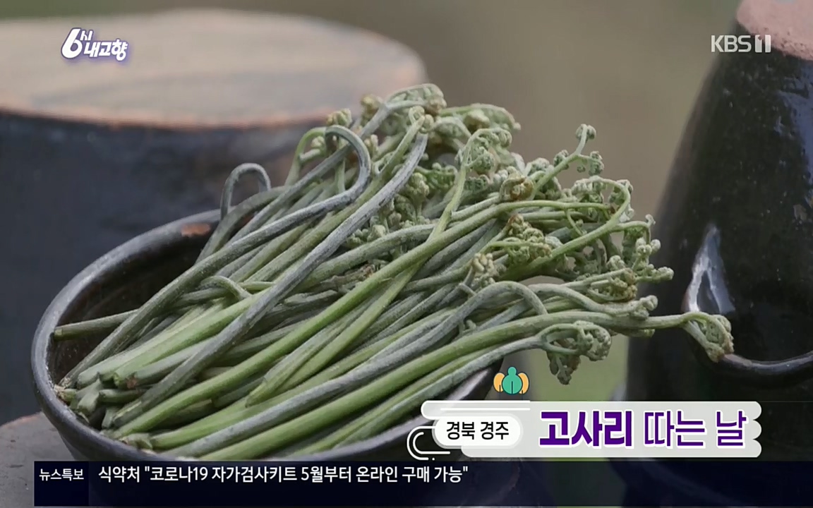 6시 내고향.E7518.220426p.H264-F1RST.mp4_20220504_185113.150.jpg