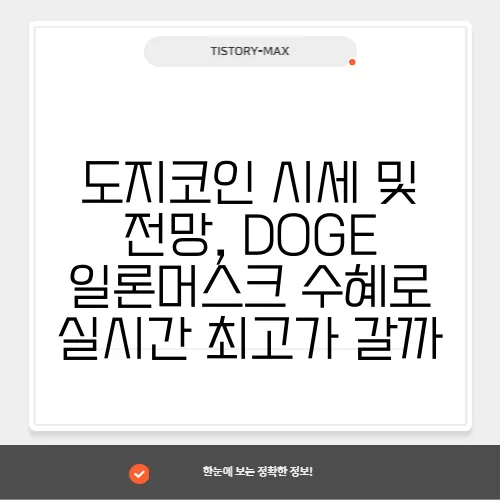 도지코인 시세 및 전망, DOGE 일론머스크 수혜로 실시간 최고가 갈까