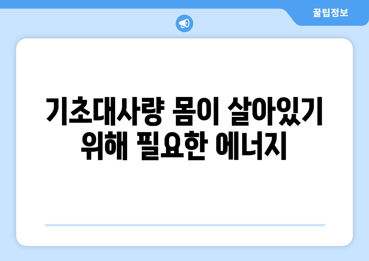 기초대사량 몸이 살아있기 위해 필요한 에너지