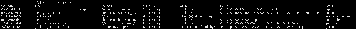  Docker Container 접속해서 작업하기 ( with jenkins initialAdminPassword )