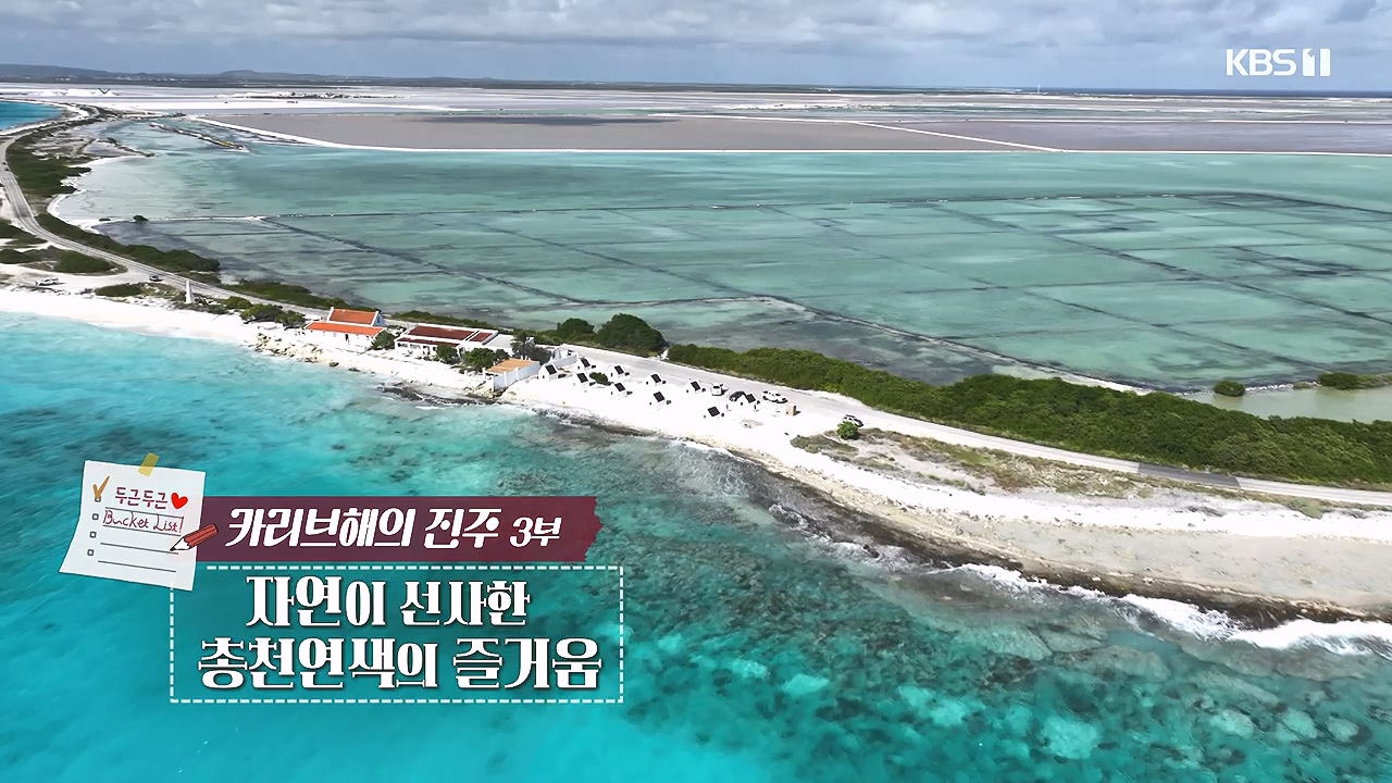 걸어서 세계속으로 두근두근 버킷리스트.E830.240212p-NEXT.mp4_20240731_194746.495.jpg