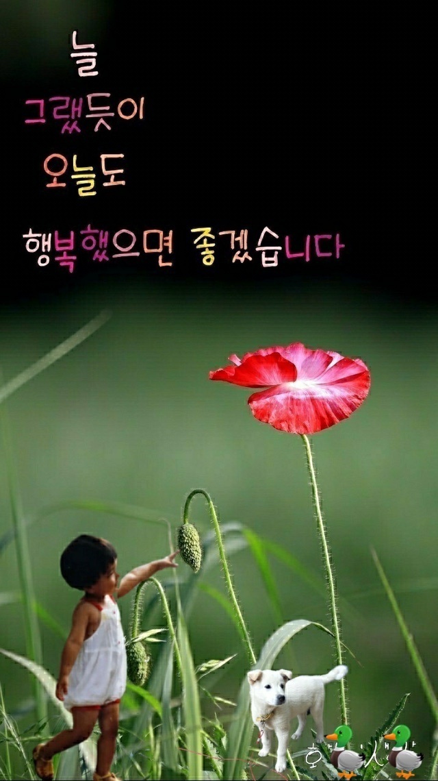 펠리체승마클럽 이미지
