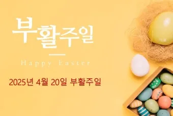 봄 주일예배 ppt 배경화면 꽃 이미지_7