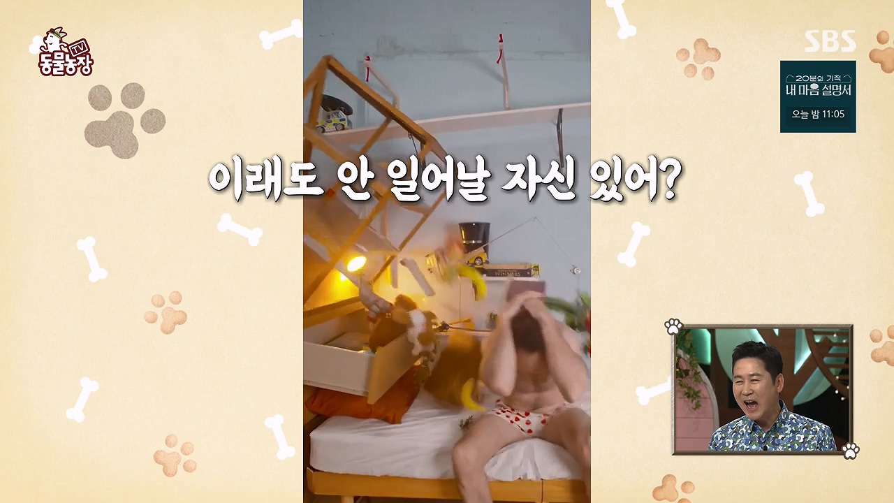 TV 동물농장.E1172.240520p-NEXT.mp4_20240519_162235.284.jpg