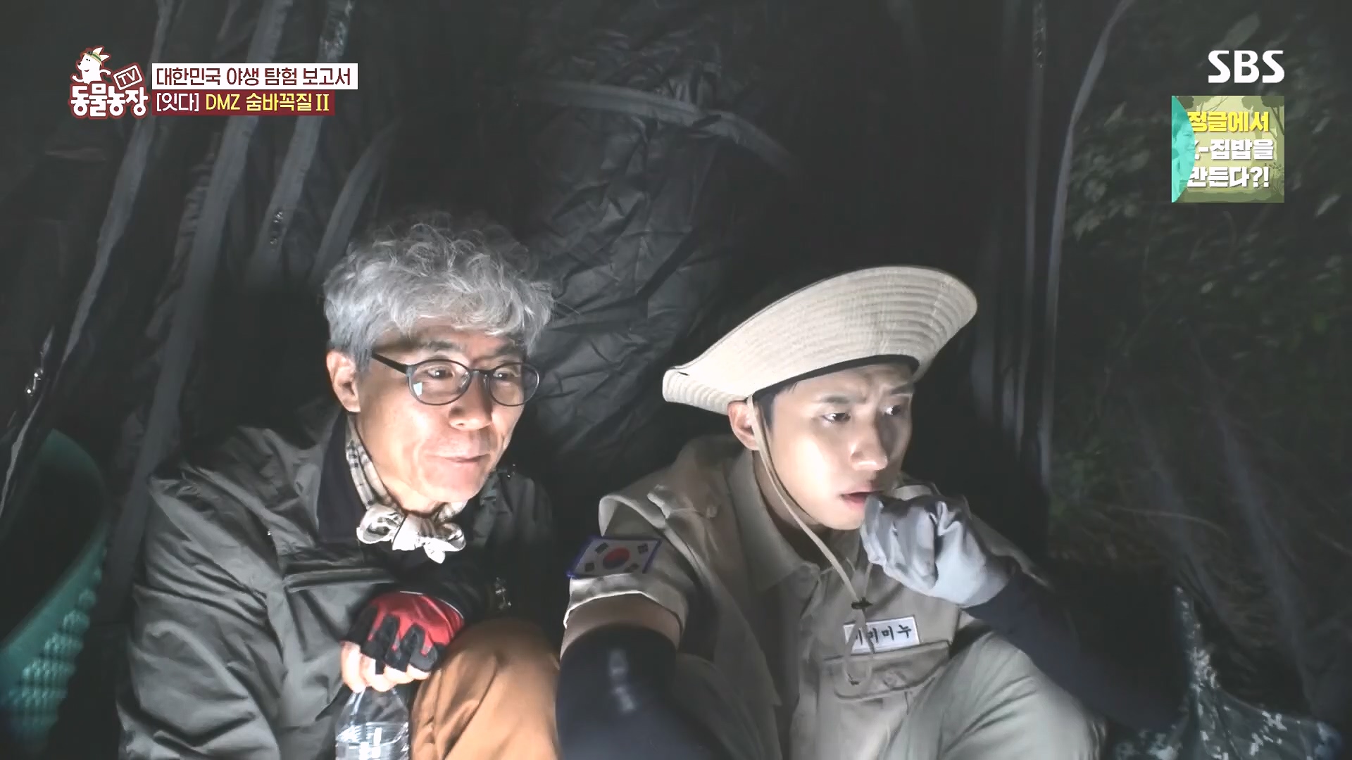 TV 동물농장.E1185.240818p.H264-F1RST.mp4_20240818_161606.956.jpg