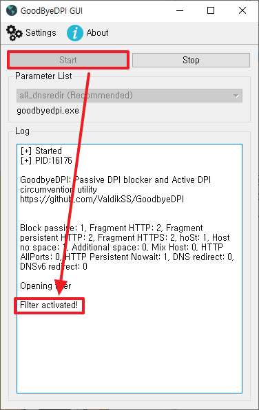 GoodbyeDPI GUI - Start - Filter activated