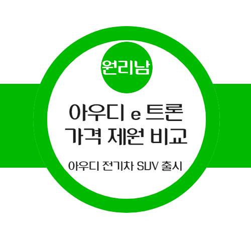  아우디 e 트론 콰트로 출시(아우디 SUV 전기차 주목받는 이유)