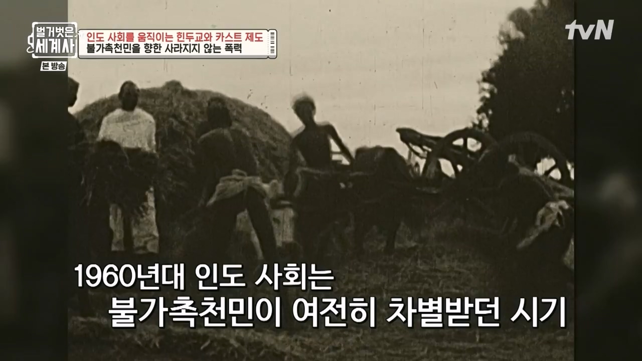 벌거벗은 세계사.E115.230906p-NEXT.mp4_20240406_181752.018.jpg