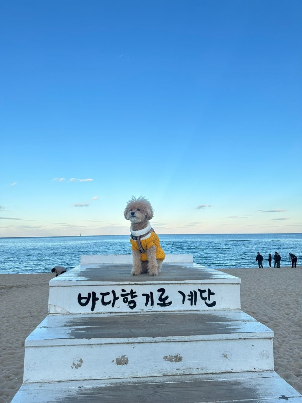 태일코스 이미지