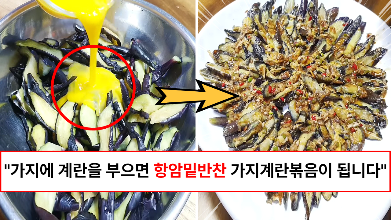 “비싼 영양제 30알 먹는것보다 낫습니다” 마치 소고기맛과 똑같다는 항암밑반찬 이라고 불리는 가지계란볶음 레시피