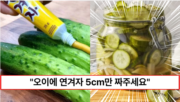 “오이에 연겨자 5cm만 짜보세요” 입안에서 톡톡 터지는 청량감이 일품인 오이절임 만드는 방법