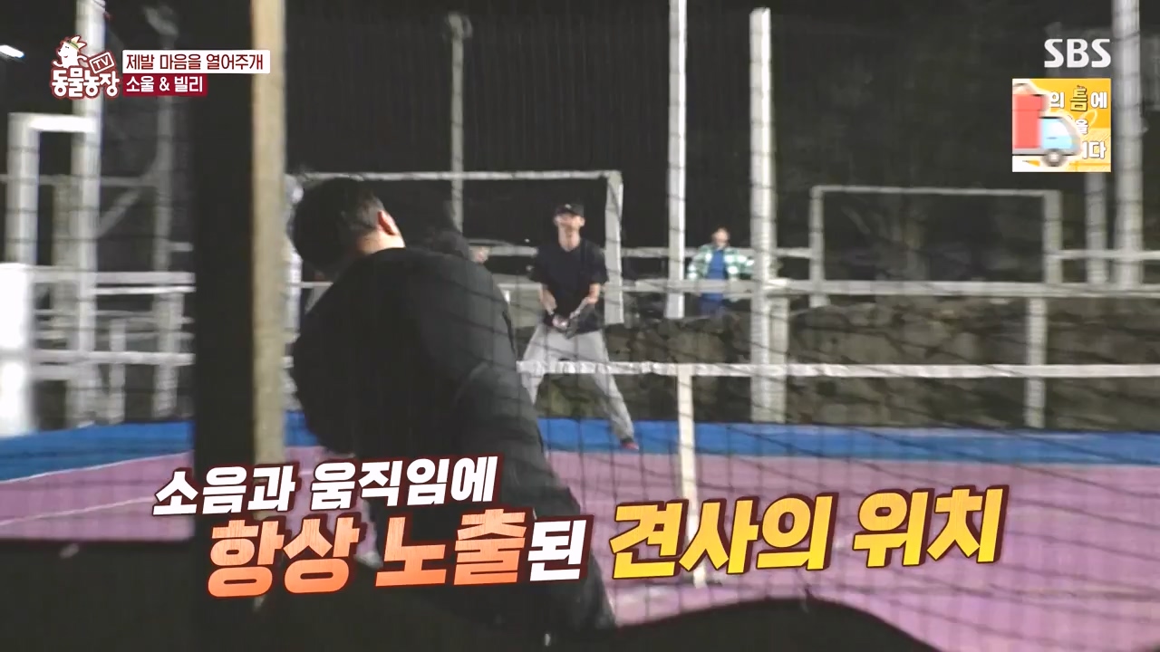 TV 동물농장.E1167.240415p-NEXT.mp4_20240414_160940.613.jpg