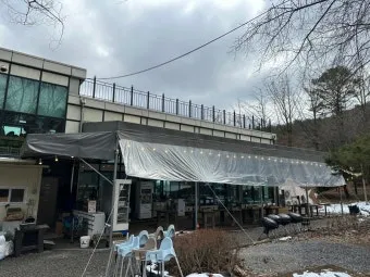 수도권 애견동반 여행지 5선 완벽 가이드 반려견 동반 산책 주말 여행지 추천_28