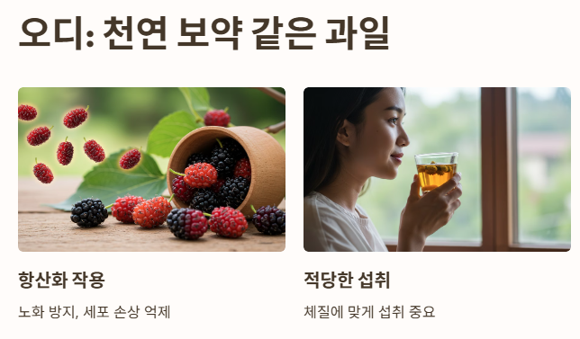 결론: 천연 보약 같은 과일 오디