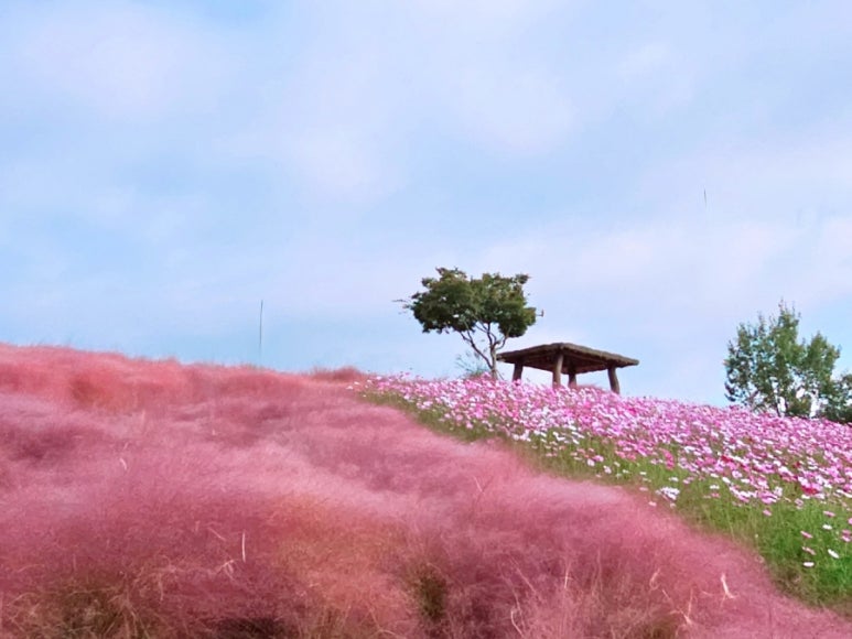 남산공원